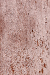 Fototapeta premium Weathered pink paint peels across rough textured surface