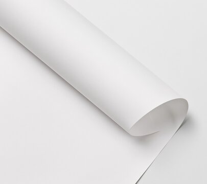 rolled white paper sheet on clean background