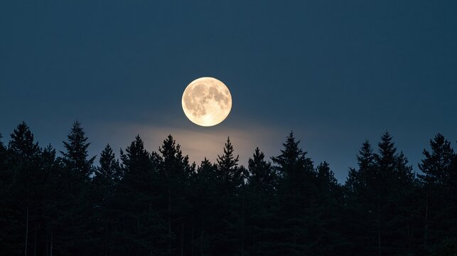Full moon glowing above dark pine forest silhouette