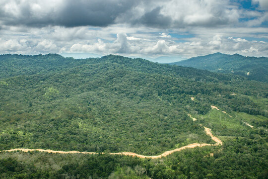 Aerial view of tropical rainforest, mountain ranges and a winding dirt road in the Kelabit Highlands of Sarawak, Malaysian Borneo