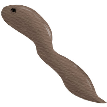 earthworm