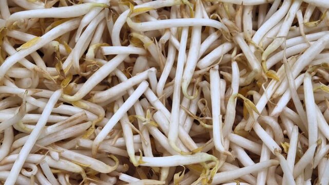 Fresh bean sprouts arranged in a bowl	