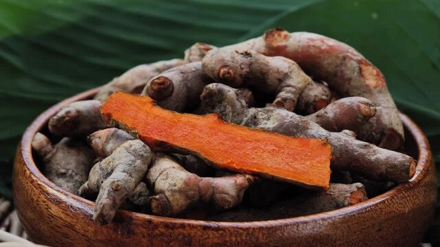 Fresh Turmeric Rhizomes in a Wooden Bowl	
