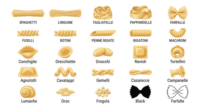 Variety of dried pasta shapes displayed in a vector illustration