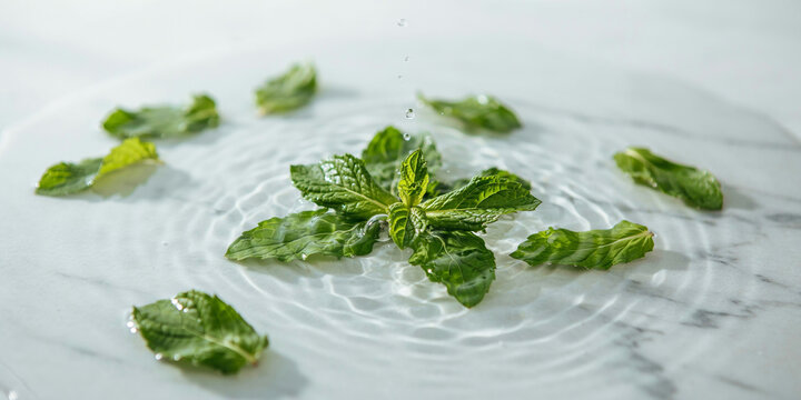 Fresh green mint leaves floating on a clear water surface creating ripples on a white marble background, with a single, water droplet falling