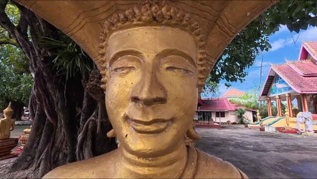 statue of buddha