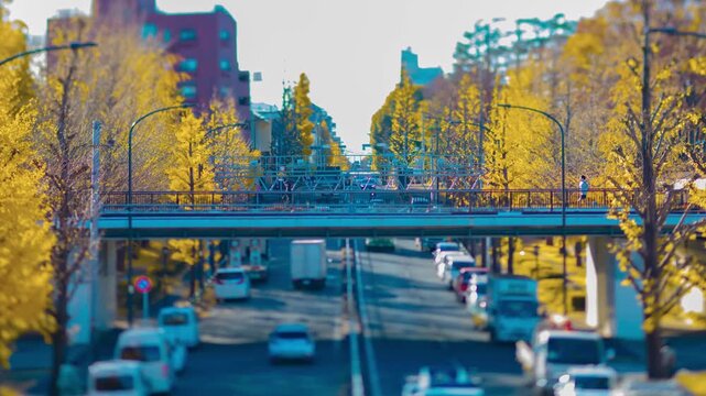 A timelapse of miniature traffic jam at the yellow gingko street in Tokyo panning