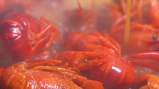 Cooking crayfish, traditional chinese seafood making 2026 04 19