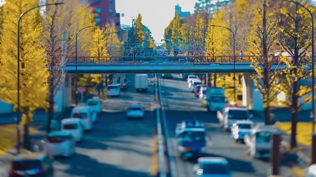 A timelapse of miniature traffic jam at the yellow gingko street in Tokyo tilt