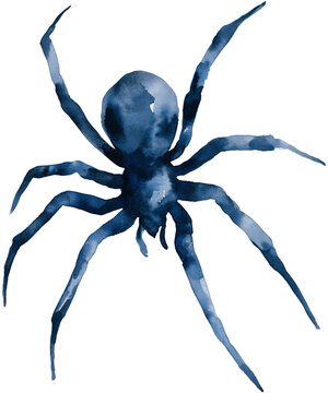 Water color illustration of Spider for Halloween on transparent background