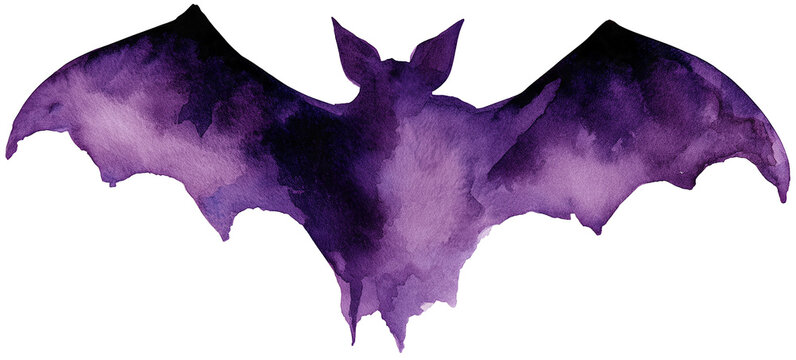 Water color illustration of Spider for Halloween on transparent background
