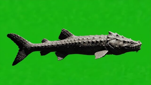 Prehistoric Monster Fish Swimming Animated on Green Screen Key