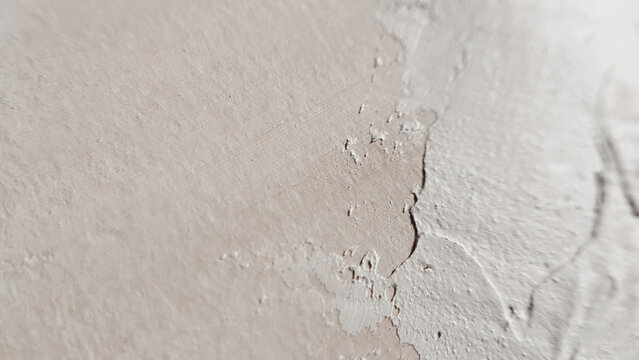 A soft light grey plaster finish showcasing subtle organic curves and smooth transitions. scandinavian design, delicate wall, minimal architecture, neutral backdrop.