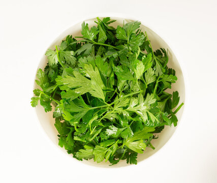 Fresh parsley leaf with water drops isolated