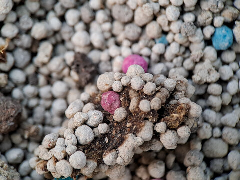 Close up of colorful fertilizer pellets mixed with soil.