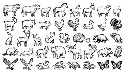 Obraz premium Cute Animals Hand Drawn Black Line Vector Illustration Set