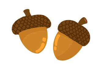 Autumn oak tree seed acorn cartoon doodle icon © Novita