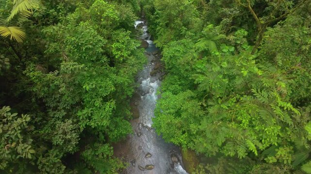 FPV drone flies low over rushing river through narrow canyon in Costa Rica rainforest with mossy boulders lush green foliage tropical ferns mist and whitewater rapids in wild jungle valley.