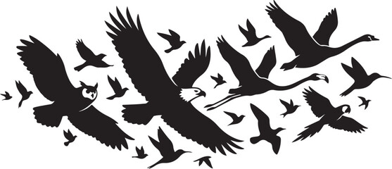 Fototapeta premium Flock of various birds flying together silhouette