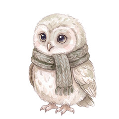 Obraz premium Watercolor Winter Woodland Animals. Owl wearing a winter scarf in Scandinavian style, beige and sage green tones.