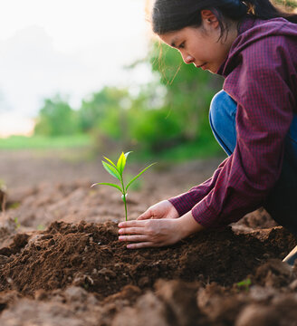 Young woman plants tiny green sprout in soft earth