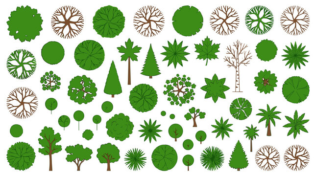 Top view tree vector collection, flat landscape architecture symbols for site plan design, green forest and garden vegetation icons, 50 overhead plant elements for masterplan mapping
