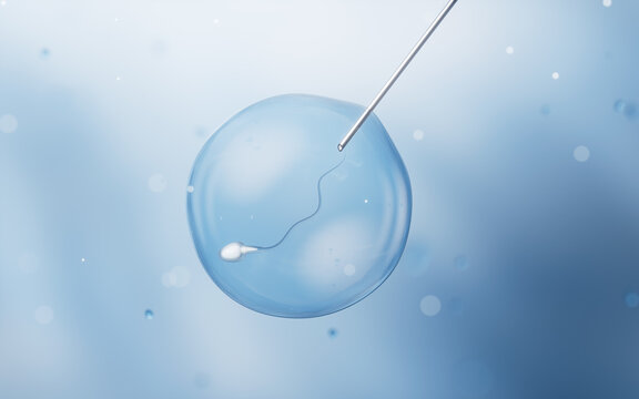 Biological cell with artificial fertilization concept, 3d rendering.