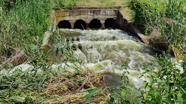 Storm water flowing from concrete pipes into a canal with reeds and grass