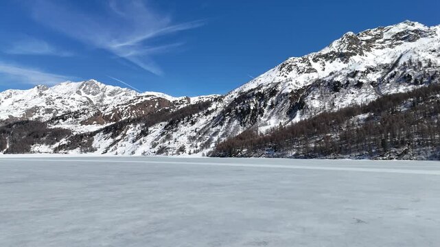 silsersee ice sheet reflects winter sunlight mountain peaks tower above pine forest shoreline sils maria engadin valley graubunden switzerland swiss alps frozen alpine lake scenery
