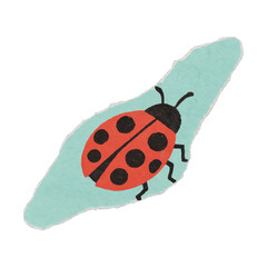 Fototapeta premium PNG Colorful ladybug illustration on paper