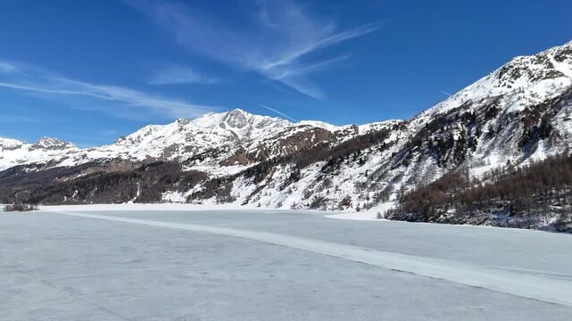 snow capped peak rises above pine forest shoreline frozen lake ice foreground silsersee lake sils engadin valley graubunden switzerland swiss alps winter alpine scenery