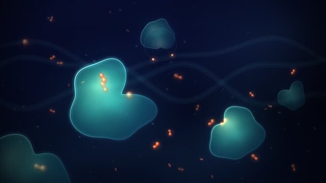 Enzyme Substrate Binding Induced Fit Molecular Seamless Loop