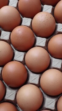 Fresh organic brown chicken eggs in cardboard tray