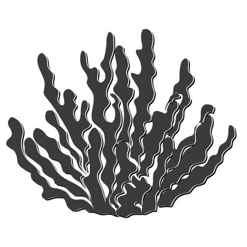 Hand-drawn Branching Seaweed or Soft Coral Isolated