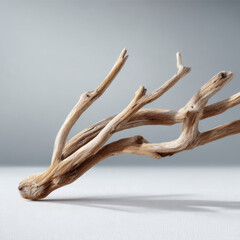 Obraz premium Driftwood branch wood natural dry isolated texture neutral minimalist organic Driftwood branch wood natural dry isolated