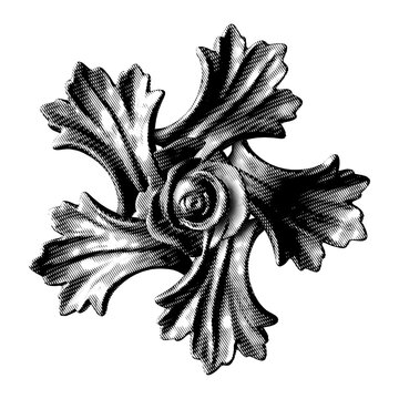 Five leaf rose star in black engraving