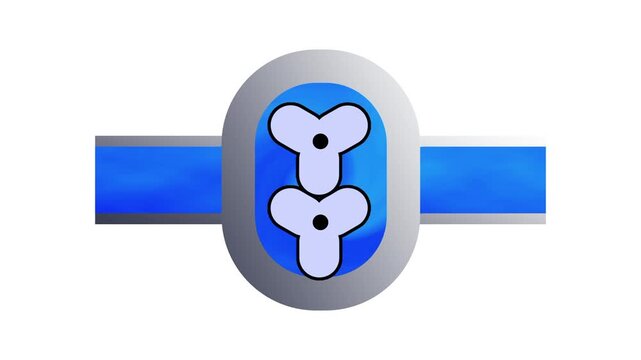 A bright blue pipe passing through a silver oval pump housing that holds two white three lobe rotors turning against each other to move liquid along