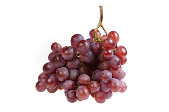 Grapes are very fresh on a white background.