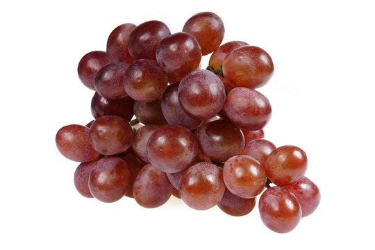 Grapes are very fresh on a white background.
