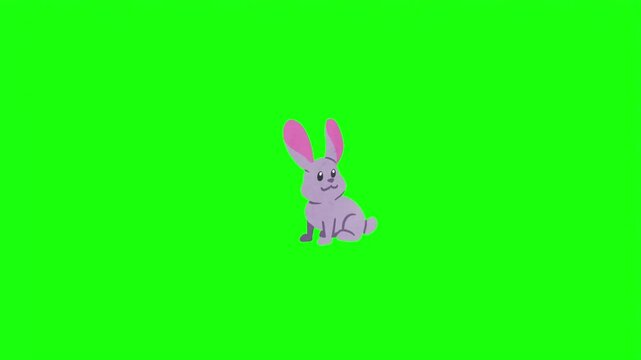 Cute cartoon purple rabbit with big ears vector illustration isolated on bright green screen background.   