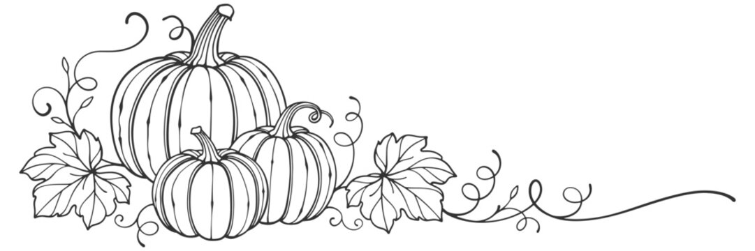 Pumpkin line art style vector illustration