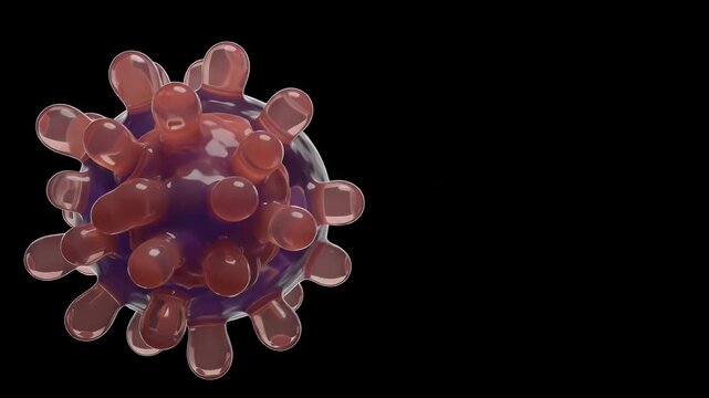 Cellular Apoptosis Spheroid Shrinkage and Programmed Cell Death