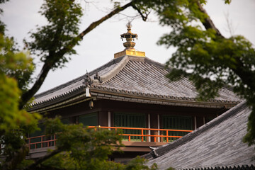 Fototapeta premium Temple roof with golden finial and vermilion railing framed by tree branches, Kyoto
