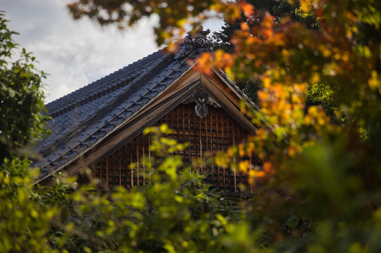 Temple gable framed by orange and green maple leaves, Kyoto