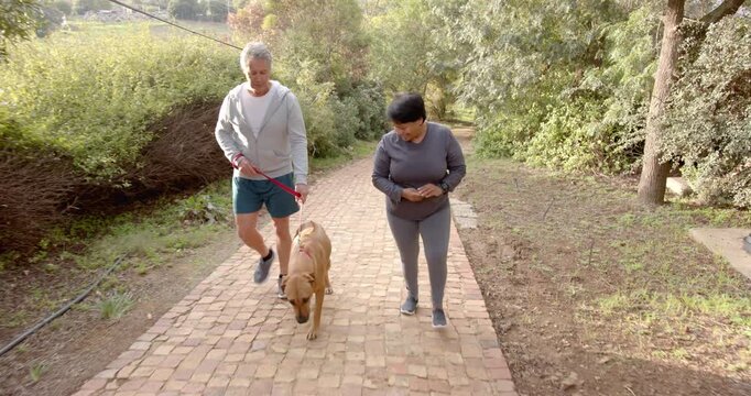 Lifestyle videos outdoor of people doing activities, walking dog on scenic trail, couple enjoying ou