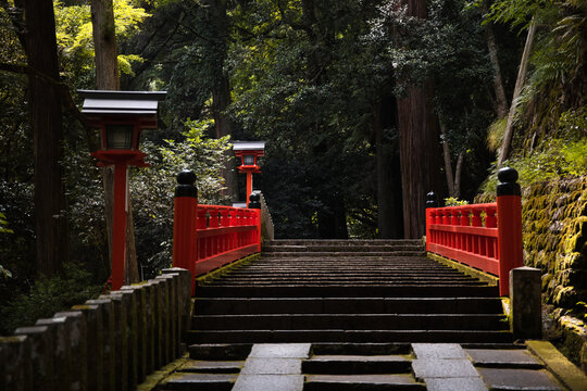 Vermilion railings, lanterns and stone steps in a dark cedar forest on Mount Kurama, Kyoto