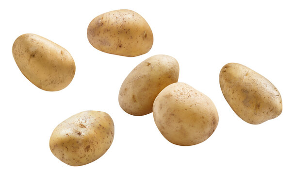 Whole unpeeled potatoes floating in the air, isolated on transparent cutout background
