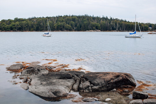 Moored Sailboats and Coastal Islands at Deer Isle Maine