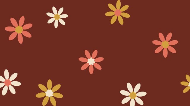 Colorful floral pattern with daisies on brown background. 2d animation