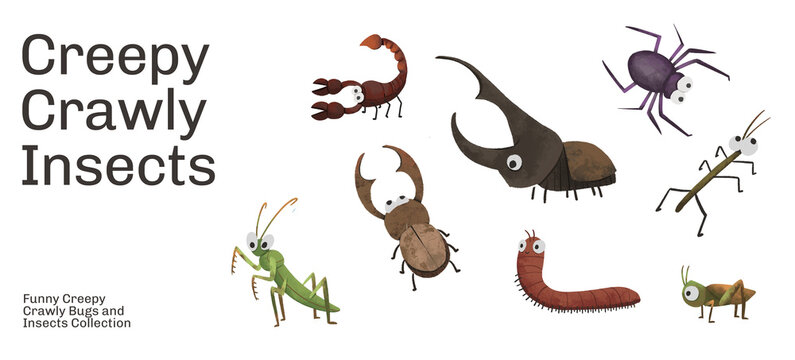 Funny Creepy Crawly Bugs and Insects Collection